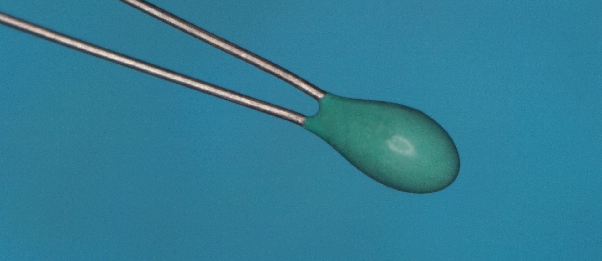 Uninsulated leaded NTC thermistor