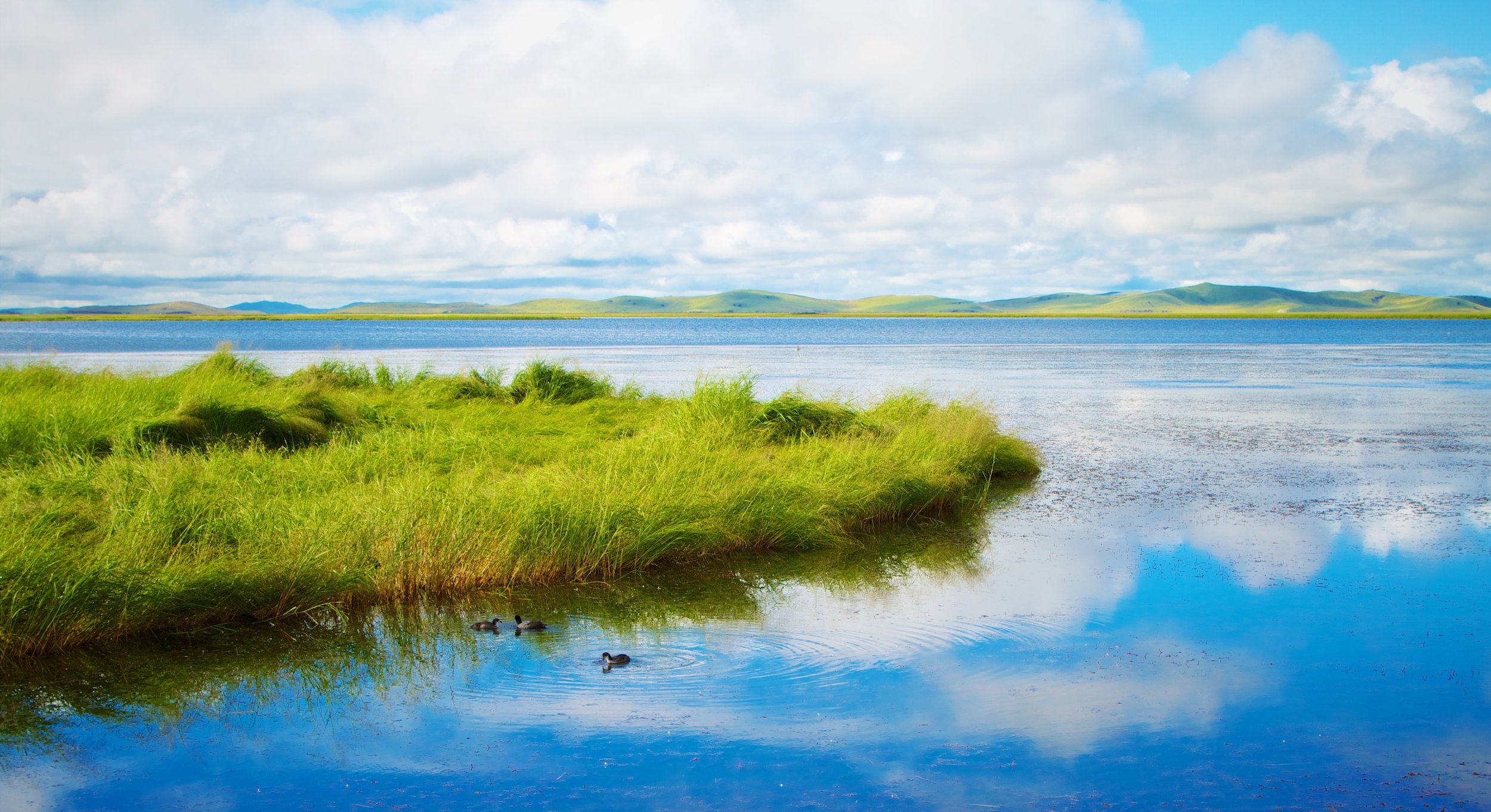 Nature landscape